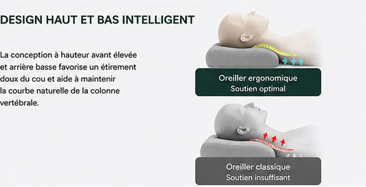 Design de l'oreiller cervical ergonomique : soutien en vague qui épouse la courbe de la nuque