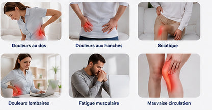Zones que le coussin d'assise ergonomique aide à soulager : coccyx et bas du dos